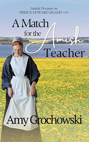 A Match for the Amish Teacher