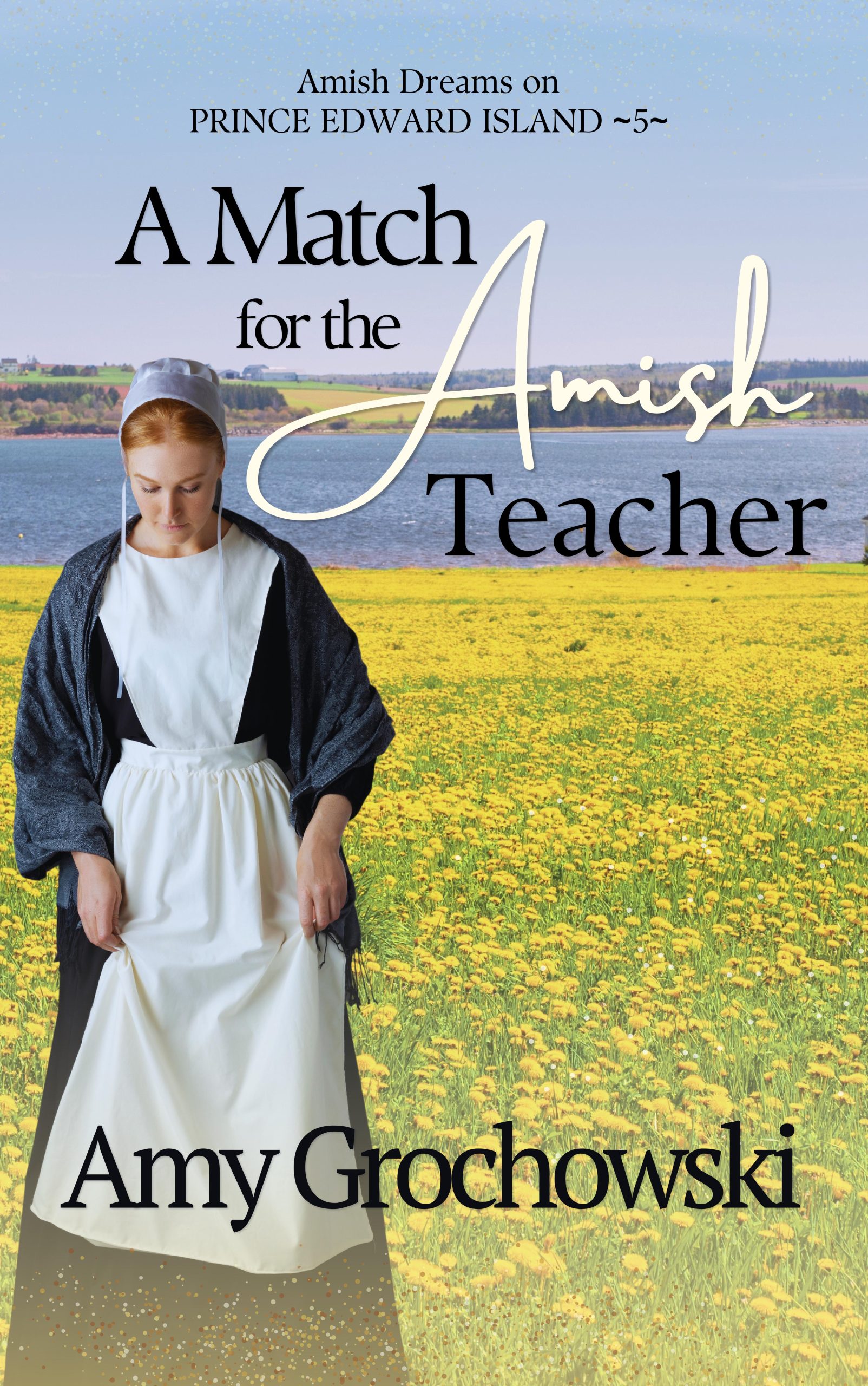 A Match for the Amish Teacher Front Cover Hi Def